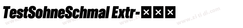 TestSohneSchmal Extr字体转换